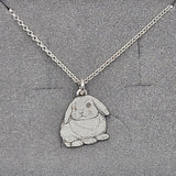 Lop bunny Billy