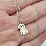 Noodle the Cavapoo