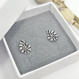 Ammonite stud earrings engraved