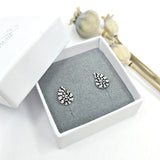 Ammonite stud earrings engraved