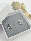 Ammonite stud earrings engraved